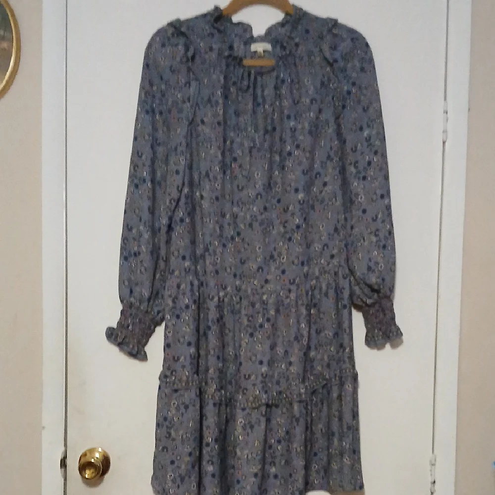 Floral Long Sleeve Dress‎